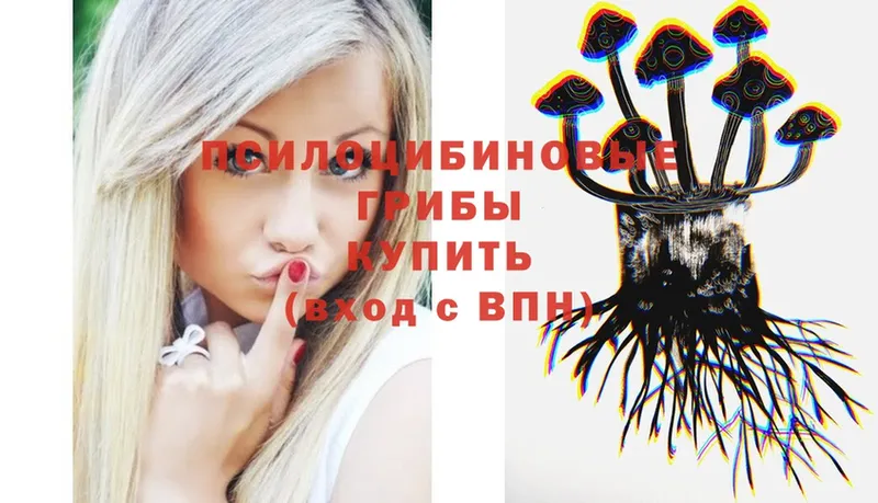 Галлюциногенные грибы Psilocybe  Бокситогорск 